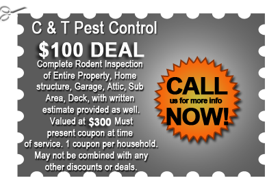 C & T Pest Control $100 Deal Coupon