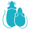 Rats & Mice