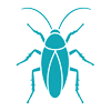 Cockroach