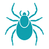 Ticks & Mites