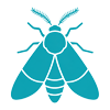 Moth